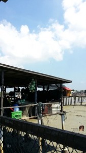 Tanjung Karang