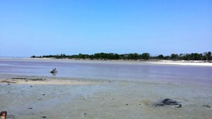 Tanjung Karang