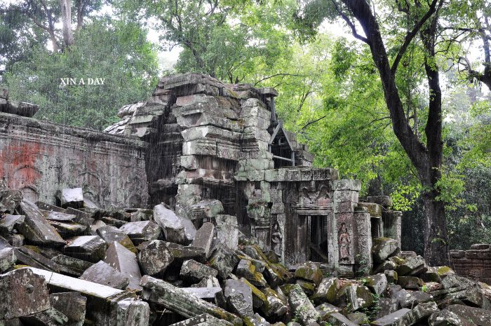  塔普伦寺 Ta Prohm @ Siem Reap 