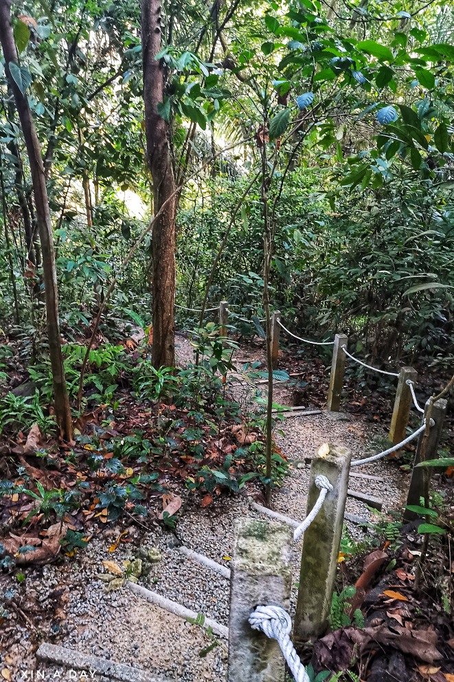 隐藏版都市森林 Taman Tugu Kuala Lumpur