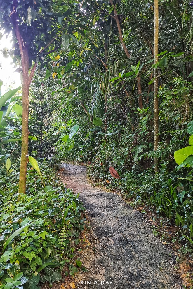 隐藏版都市森林 Taman Tugu Kuala Lumpur