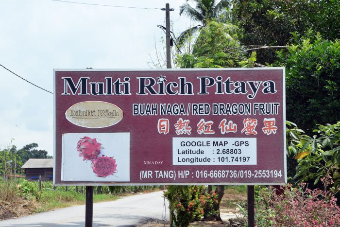 火龙果园 Multi-Rich Pitaya Dragon Fruit Farm